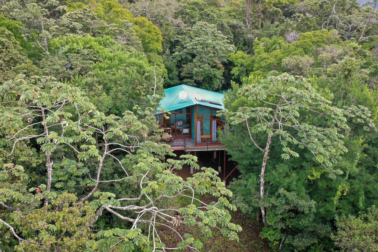 Above The Gulf, Vacation House Monteverde Exterior foto